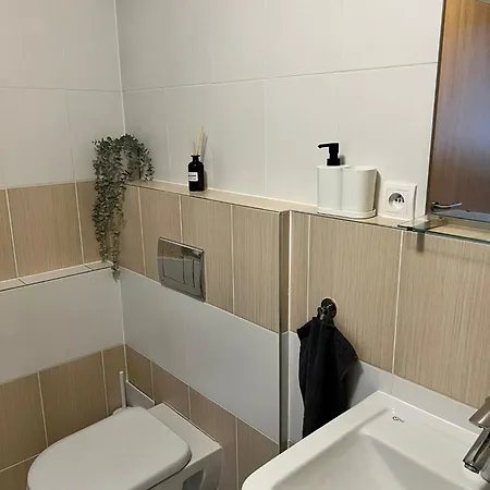 Apartment Airport Apartman Visek