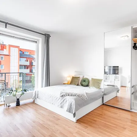 Airport Visek 公寓 *