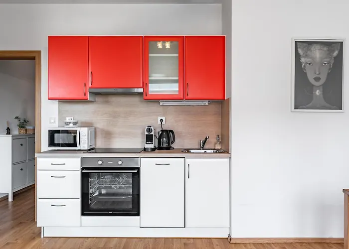 Airport Visek דירה